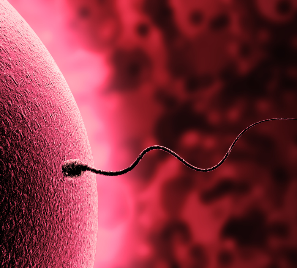 IVF (In-Vitro Fertilisation) – Dr. Divya Venugopalan, Bengaluru