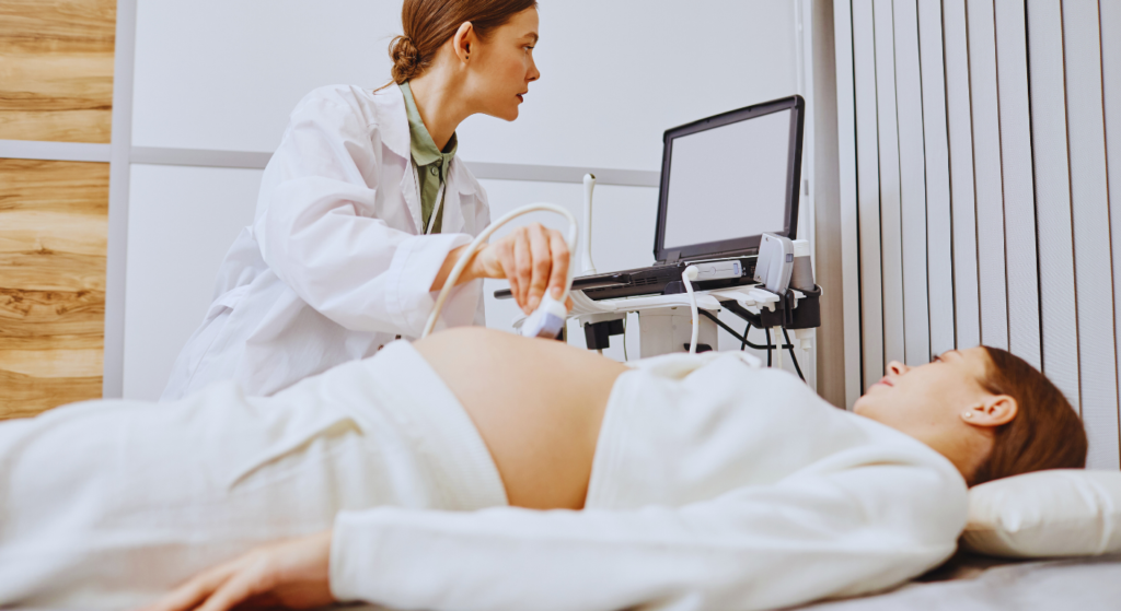 Fertility Check Up